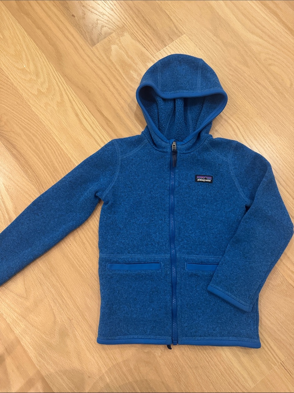 Patagonia | Kids Blue Full-Zip Hooded Better Sweater